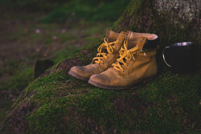 Wilderness Exploration