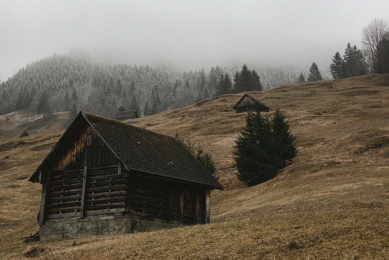 Remote Cabin in the Woods
