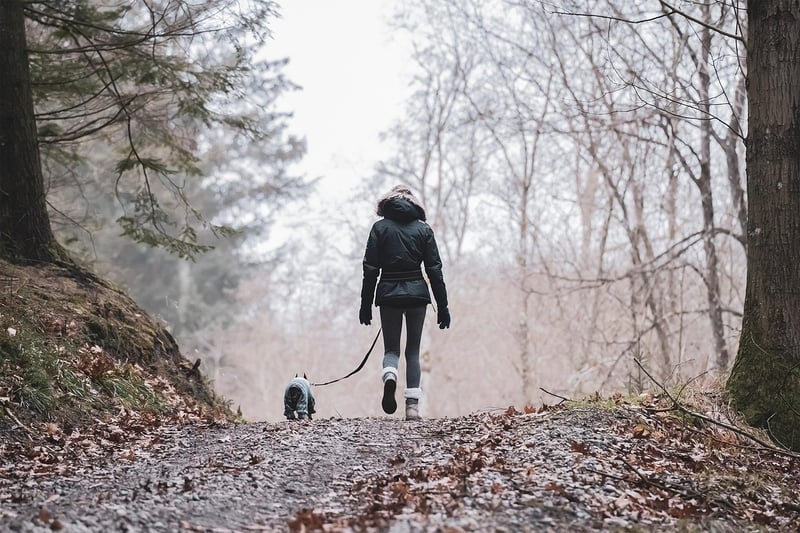 Hiking in the Wilderness